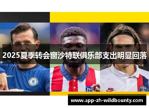 2025夏季转会窗沙特联俱乐部支出明显回落