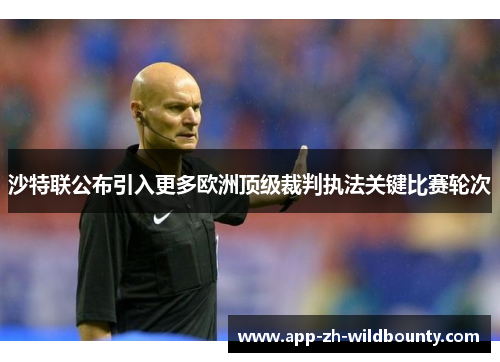 沙特联公布引入更多欧洲顶级裁判执法关键比赛轮次