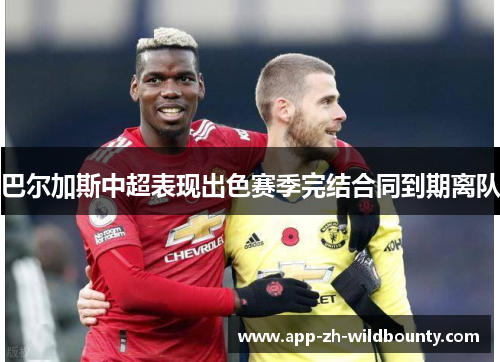 巴尔加斯中超表现出色赛季完结合同到期离队