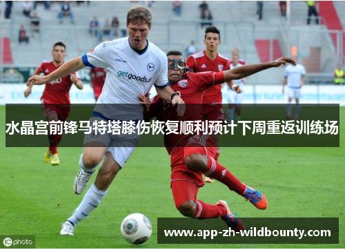 水晶宫前锋马特塔膝伤恢复顺利预计下周重返训练场 水晶宫前锋马特塔膝伤恢复顺利预计下周重返训练场