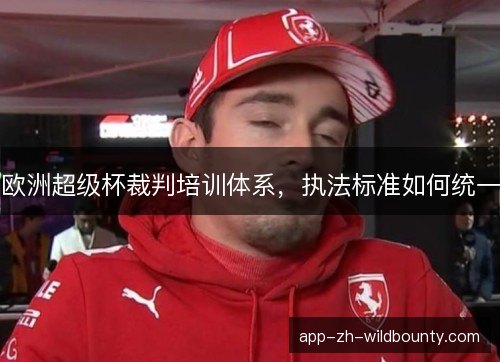 欧洲超级杯裁判培训体系，执法标准如何统一
